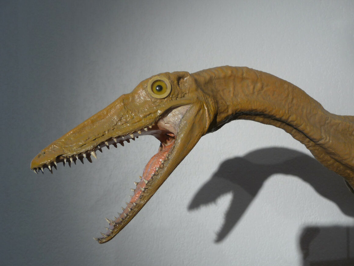 Compsognatus