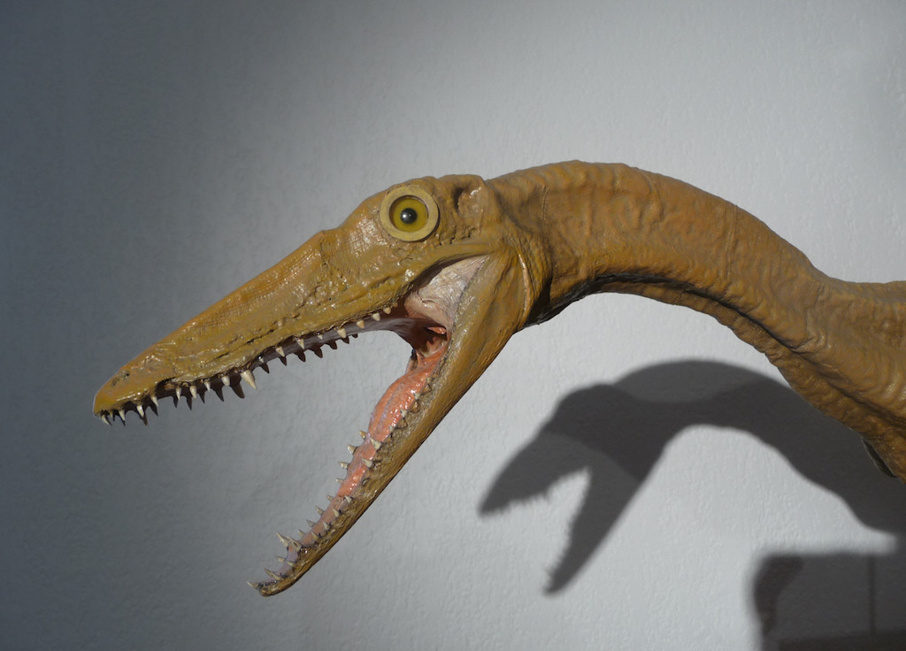 Compsognatus