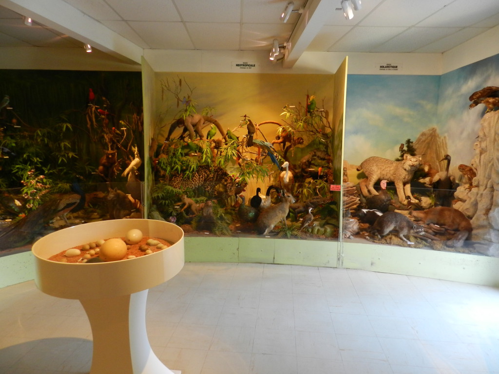 vue diorama exotique