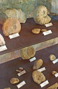 Exposition geol