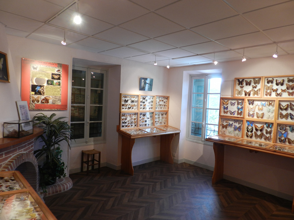 Salle papillon 1