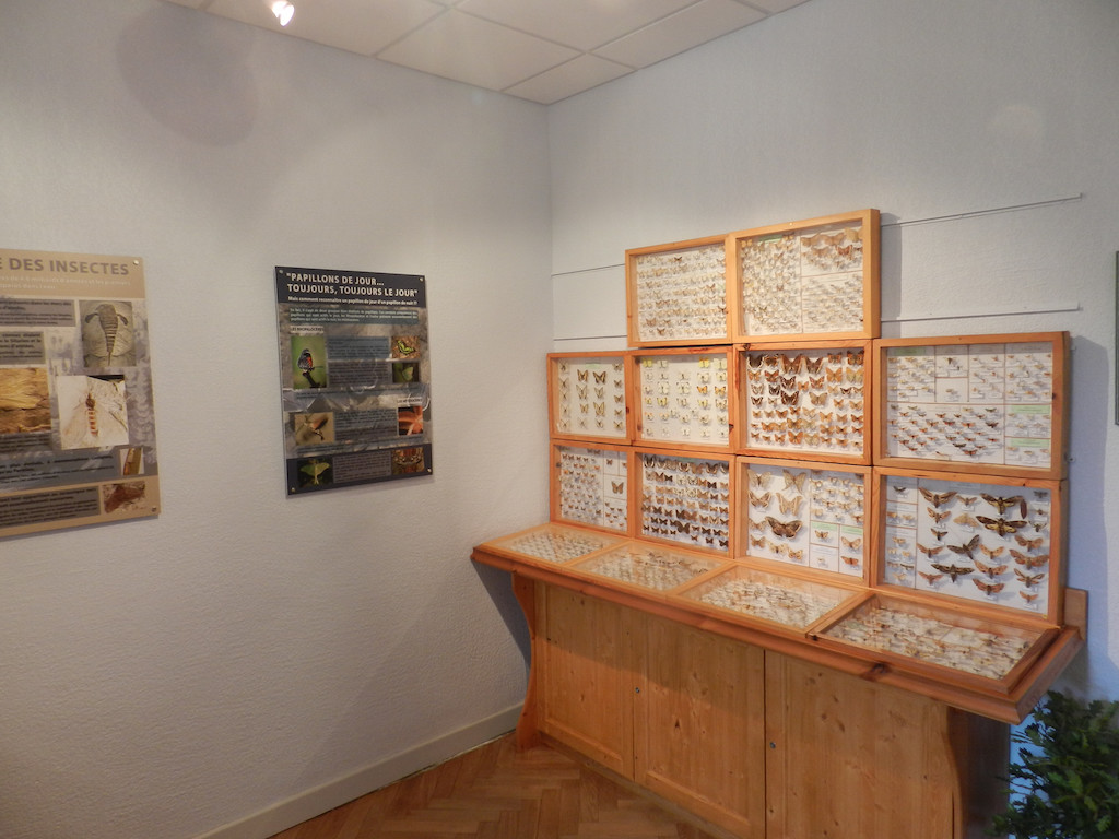 Salle des insectes de France