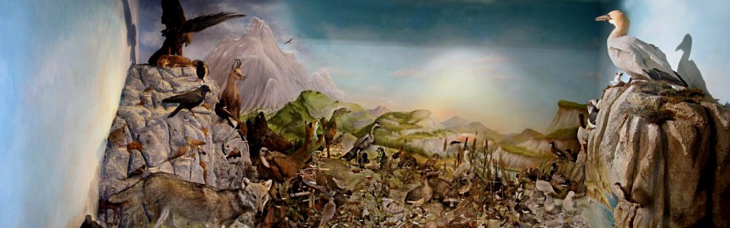 Panorama diorama de France