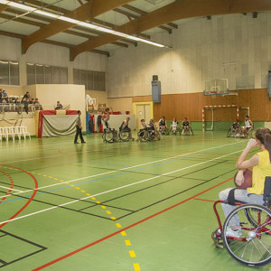 Handibasket-1