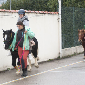 Poney1
