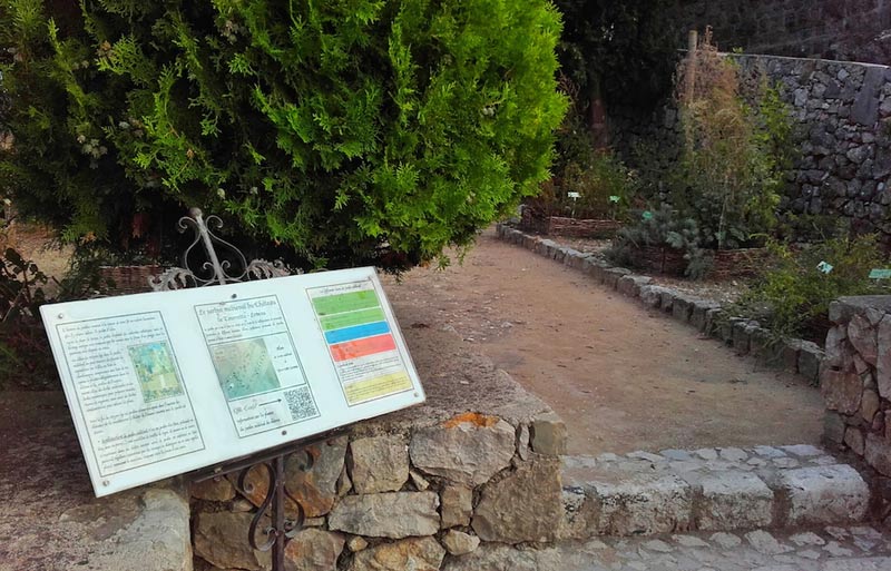 jardin-medi-5-W