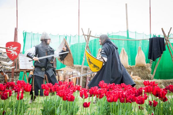 medievale2015-c.alfonsi3