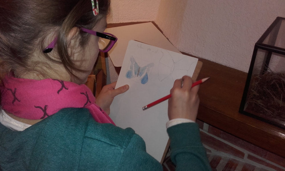 Dessin-2