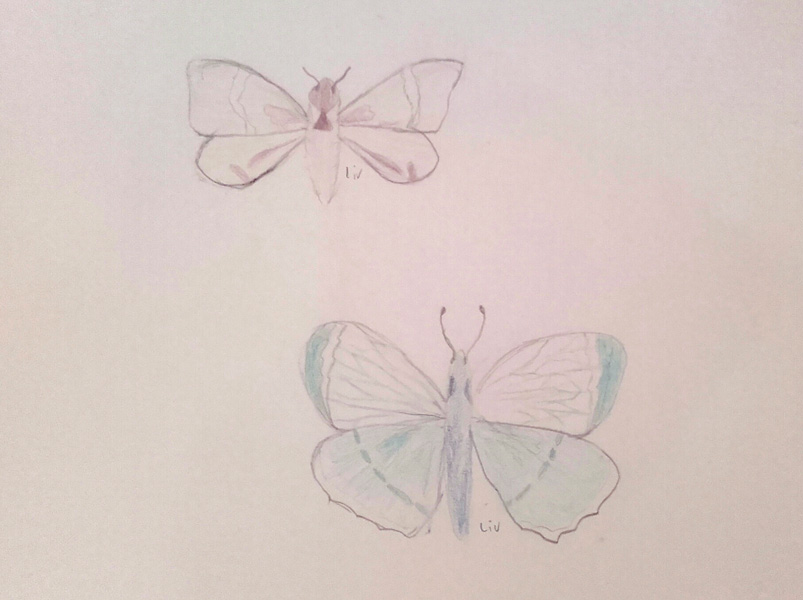 Dessin-5