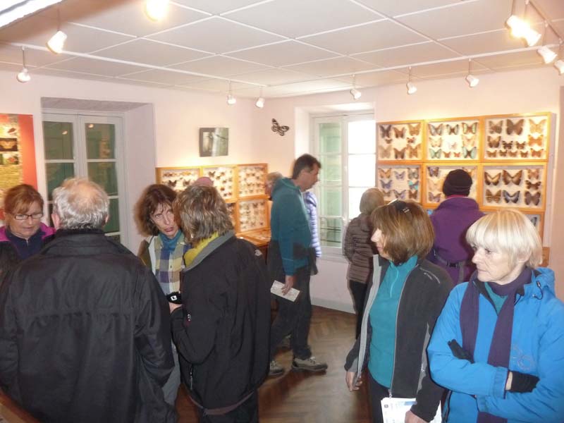 visite OVS