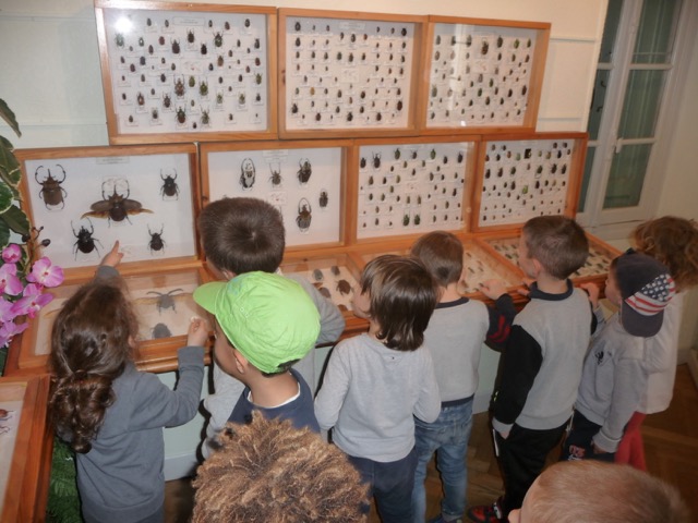 Centre des Baumettes 2