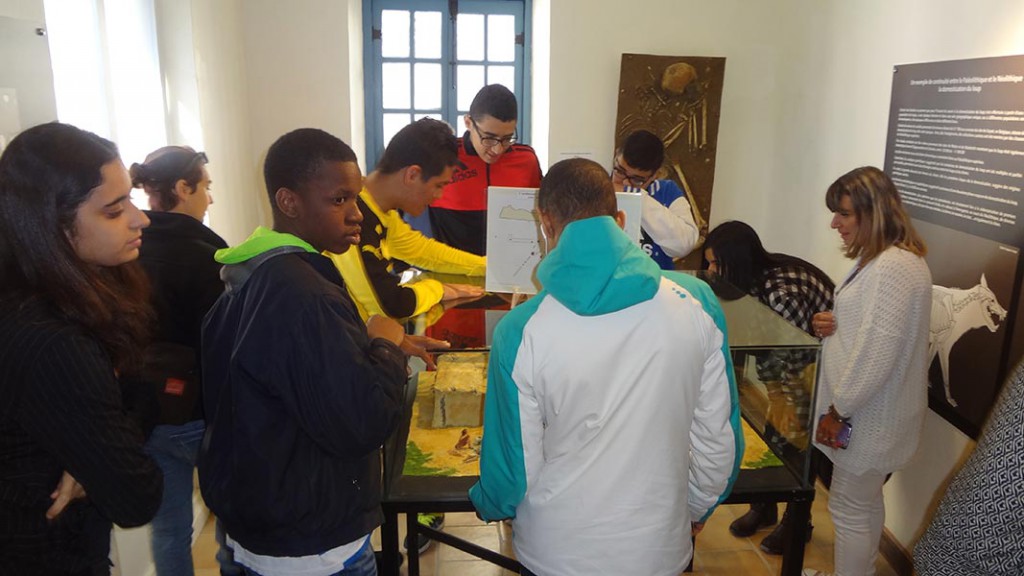 Medites-Ariane-Musee3