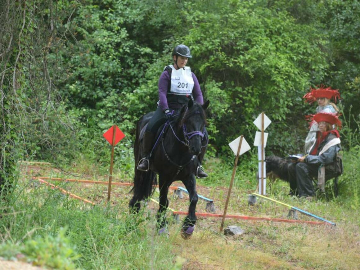 trec©FranckMarioton-(3)