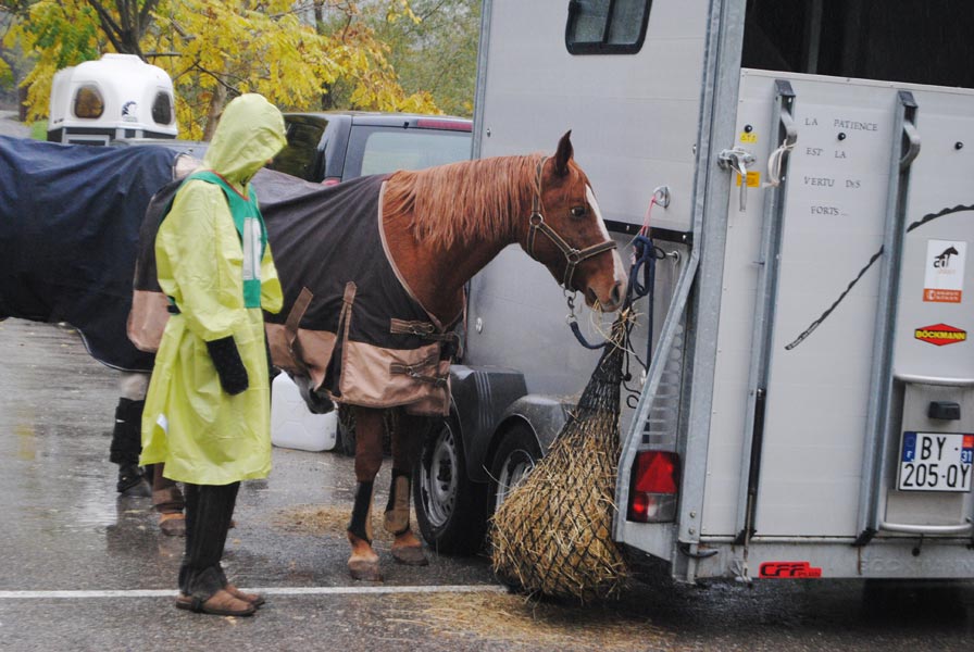 concours-equestre-1