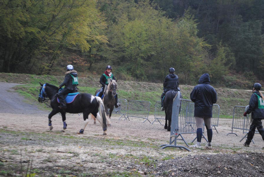 concours-equestre-2