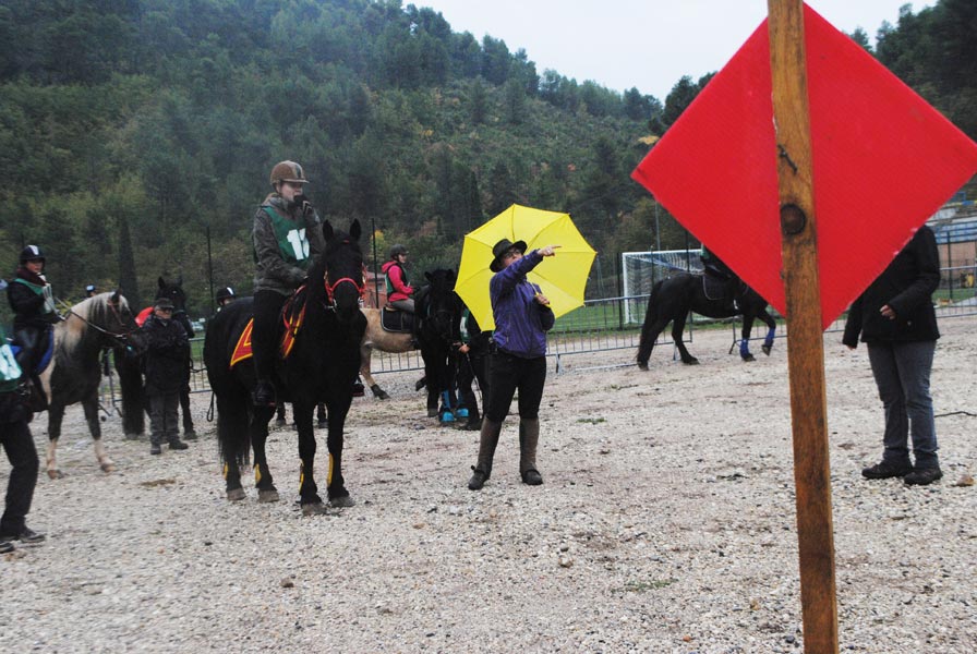concours-equestre-5