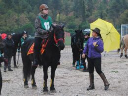 concours-equestre-6