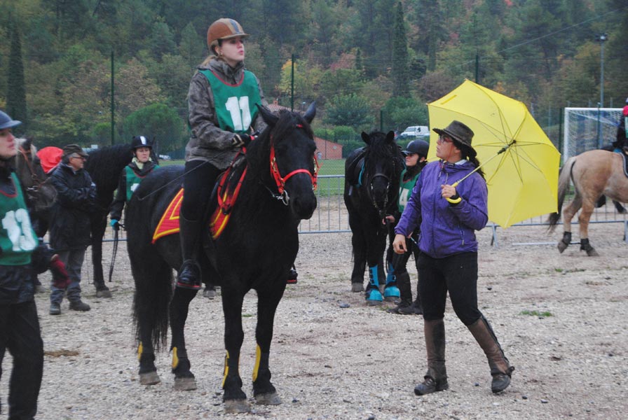 concours-equestre-6
