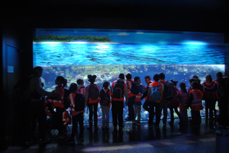 musee-oceanographique-1-4