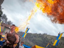 Baladins_meliadors©c-alfonsi-(37)