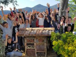 hotel_insectes_chateau©L_Carlès (7)