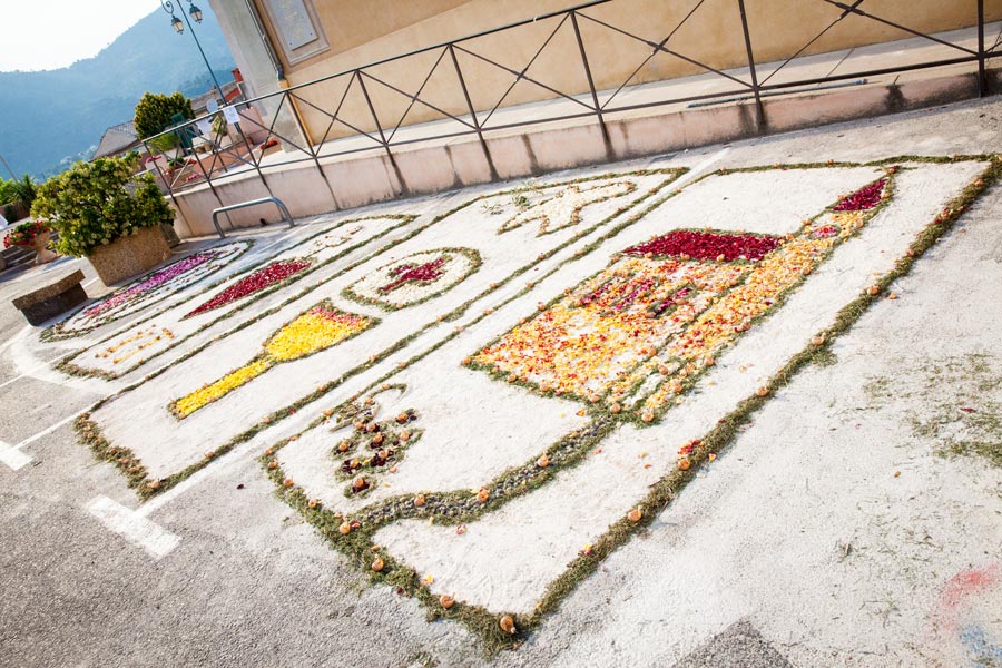 Limaces2015©C. Alfonsi (2)