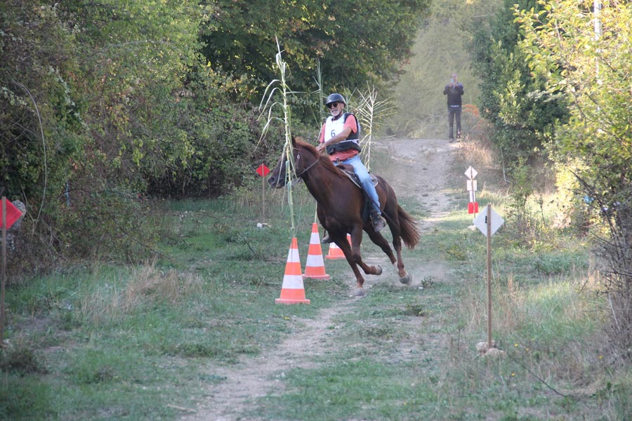Concours Equitation©m Niel (1)