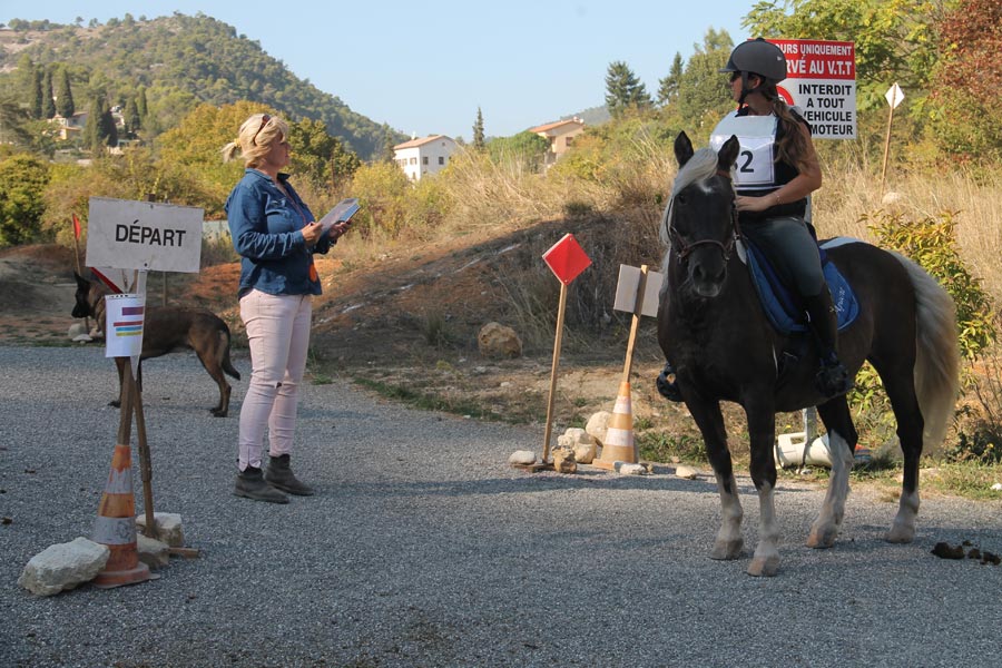 Concours Equitation©m Niel (8)