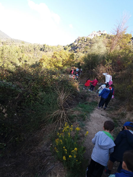 Decouverte Nature (1)