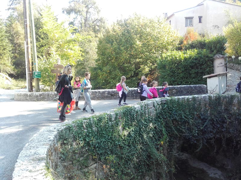 Decouverte Nature (6)