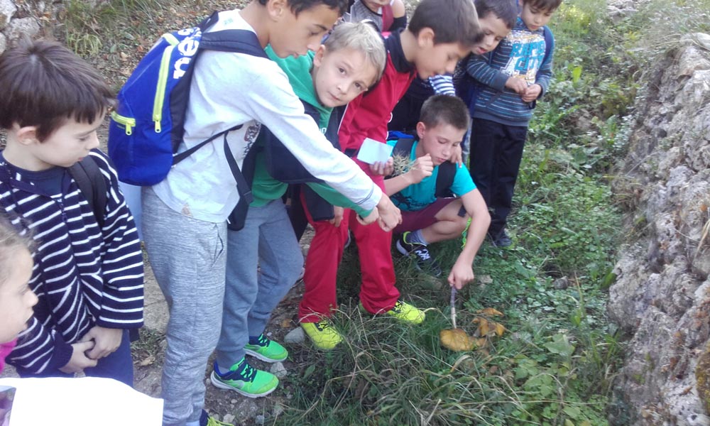 Decouverte Nature (7)