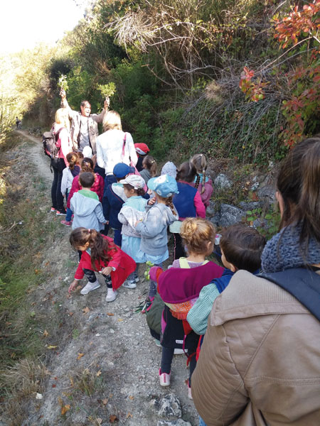 Decouverte Nature