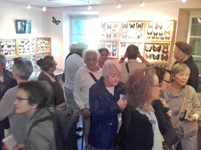 Visite Phoceens (2)
