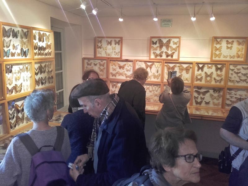 Visite Phoceens (3)