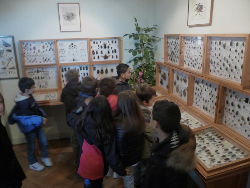 Visite CLSH Vallauris (2)