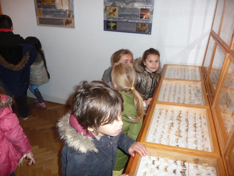Visite CLSH Vallauris (5)