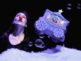 Image Du CIRQUE BLEU