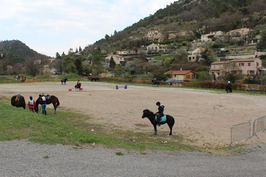 Trec Equitation©MNiel (1)