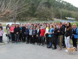 Trec Equitation©MNiel (13)