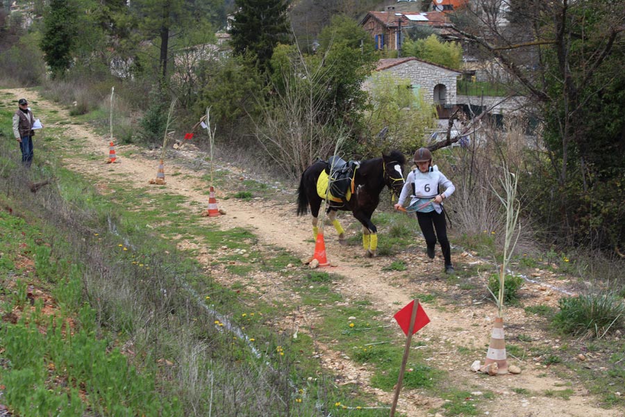 Trec Equitation©MNiel (2)