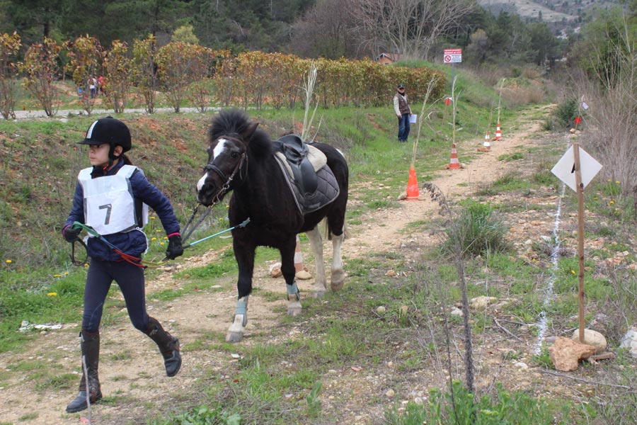 Trec Equitation©MNiel (4)