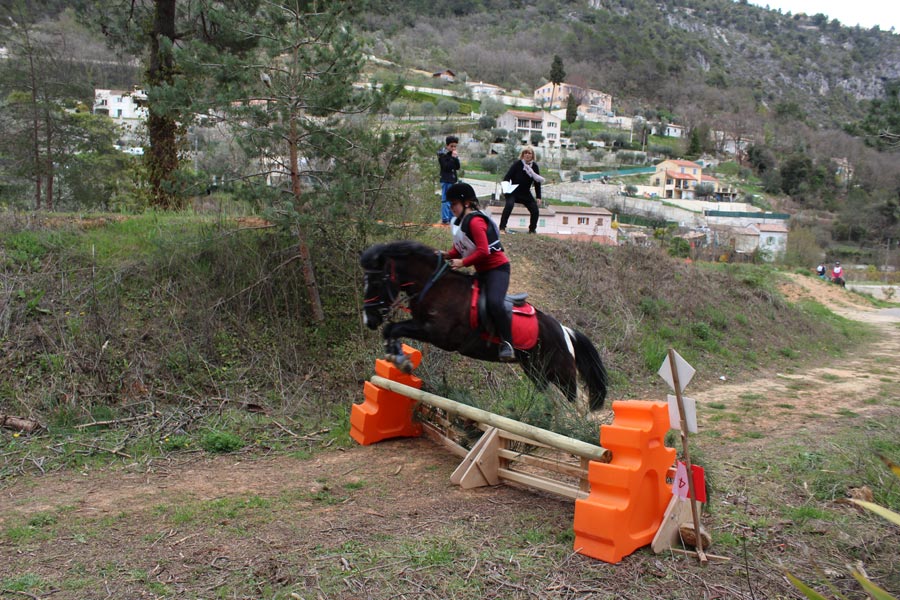 Trec Equitation©MNiel (5)