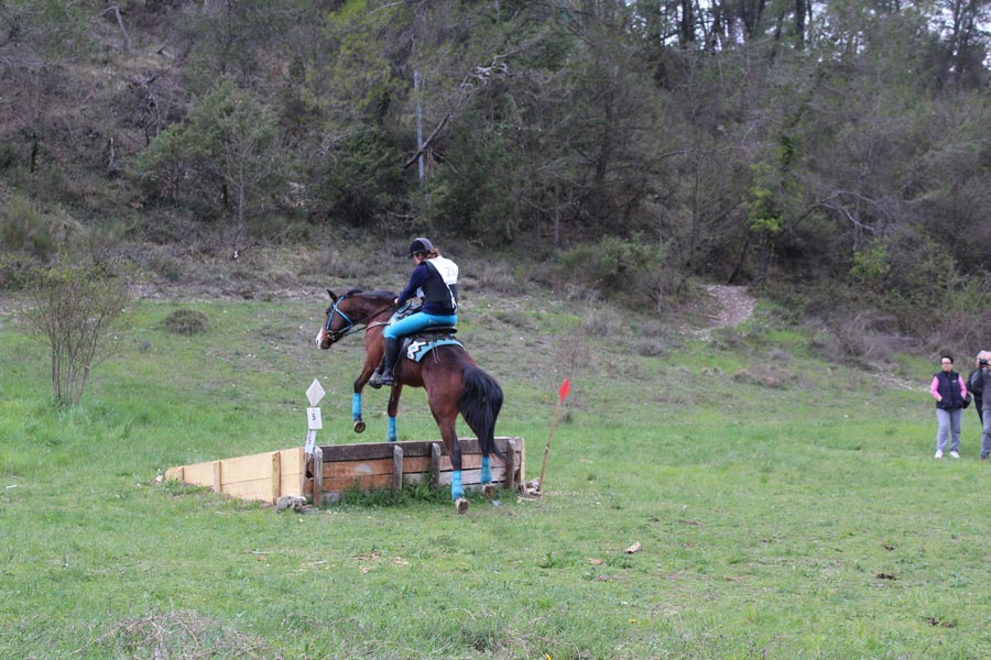 Trec Equitation©MNiel (8)