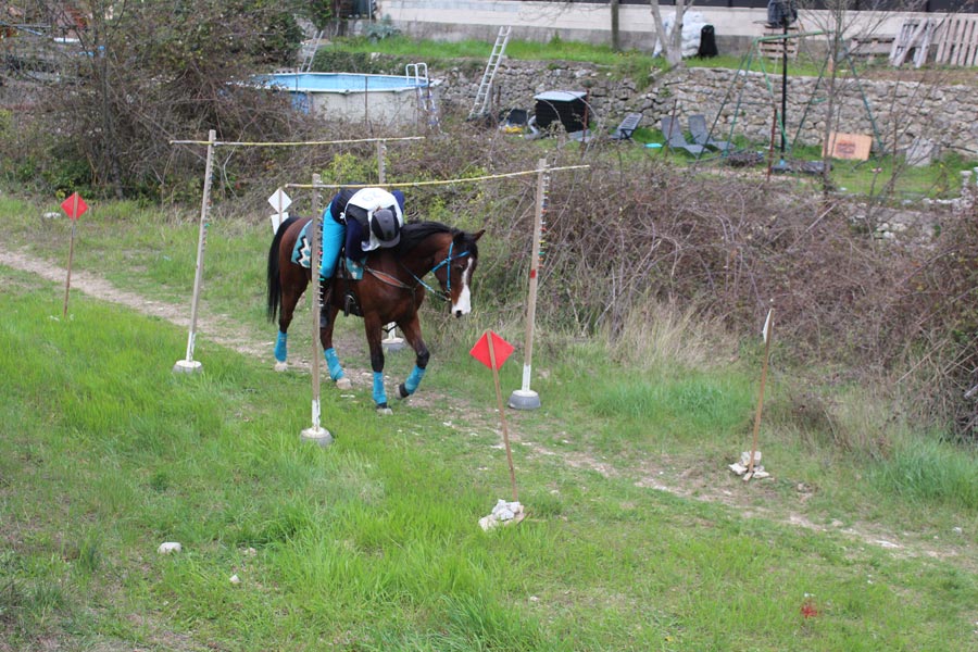 Trec Equitation©MNiel (9)