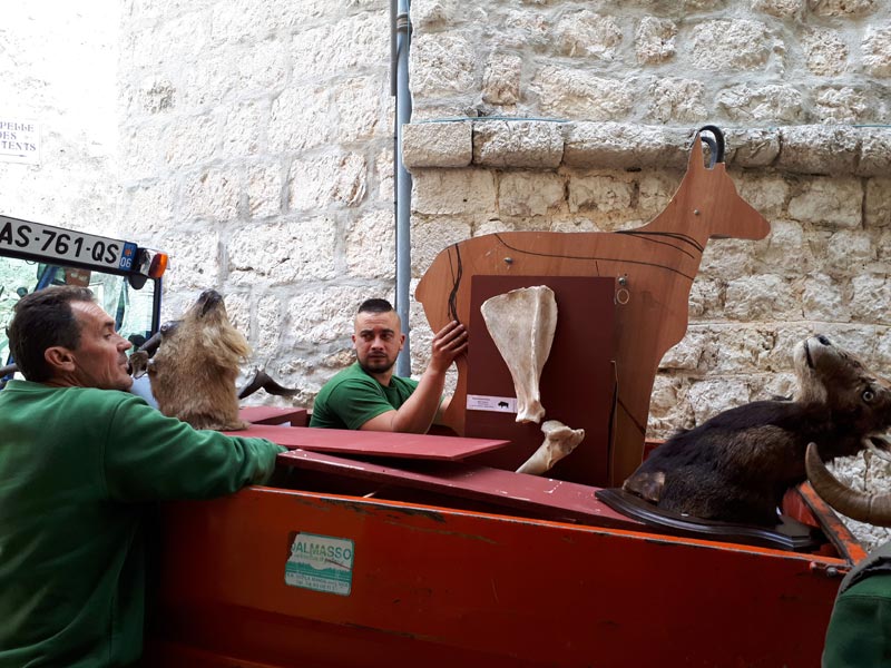 Photo1 Bovides Transport