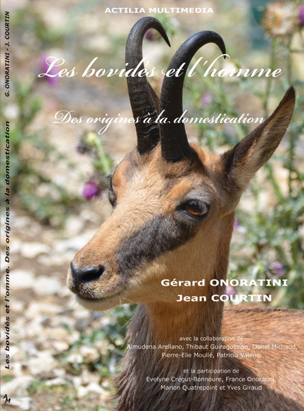 Photo6 Catalogue