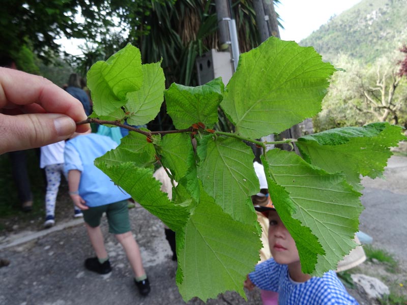 Sortie Nature Ecole Maternelle (2)