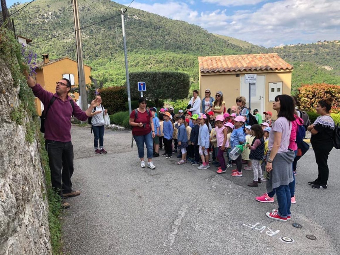 Sortie Nature Ecole Maternelle (6)