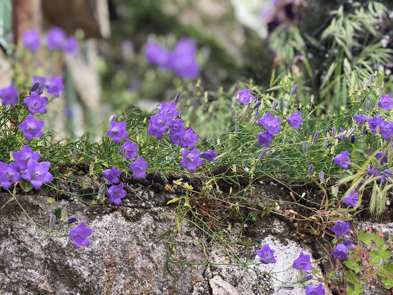 Sortie Nature Ecole Maternelle (7)