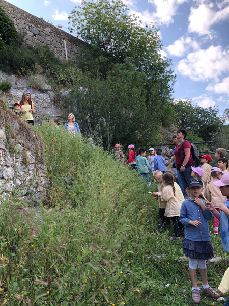 Sortie Nature Ecole Maternelle (8)